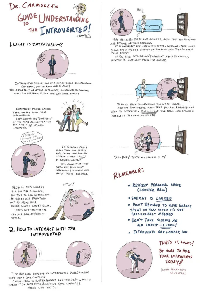 Guide to Understanding the Introvert
